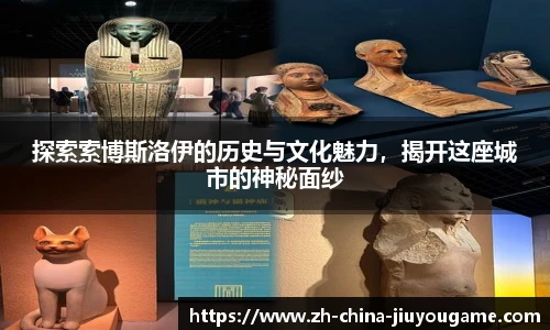 探索索博斯洛伊的历史与文化魅力，揭开这座城市的神秘面纱